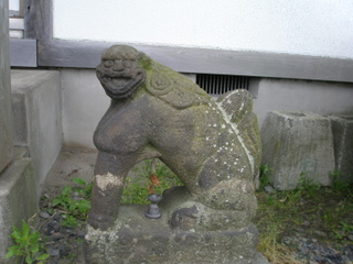 P6190006t.jpg