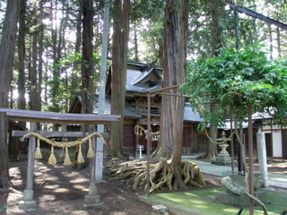 P7180041t.jpg
