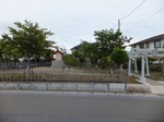 DSCF0091t.jpg