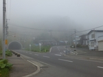 DSCF0164t.jpg