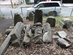DSCF0296t.jpg