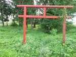 DSCF0345t.jpg