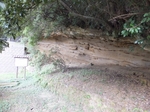 DSCF0354t.jpg