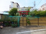 DSCF0470t.jpg