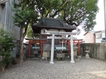 DSCF0486t.jpg