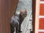 DSCF0519t.jpg