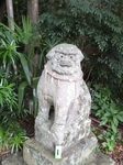 DSCF0577t.jpg
