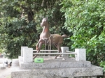 DSCF0581t.jpg