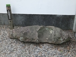 DSCF0611t.jpg
