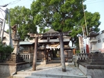 DSCF0681t.jpg