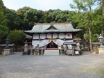 DSCF0690t.jpg