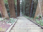 DSCF0869t.jpg