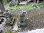 DSCF0892t.jpg