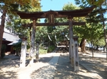 DSCF0960t.jpg