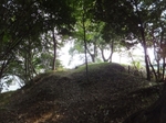 DSCF0993t.jpg