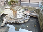 DSCF1013t.jpg