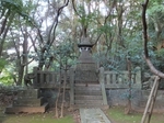 DSCF1103t.jpg