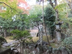 DSCF1133t.jpg