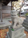 DSCF1199t.jpg