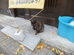DSCF1236t.jpg