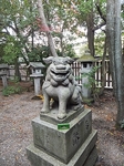 DSCF1247t.jpg