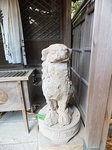 DSCF1272t.jpg