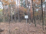 DSCF1332t.jpg