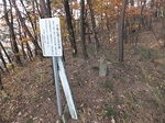 DSCF1333t.jpg