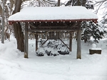 DSCF1385t.jpg