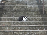 DSCF1407t.jpg
