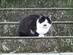 DSCF1408t.jpg
