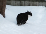 DSCF1410t.jpg