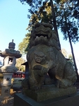 DSCF1506t.jpg