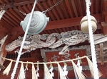 DSCF1564t.jpg