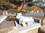 DSCF1567t.jpg