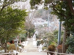 DSCF1593t.jpg
