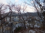 DSCF1815t.jpg