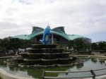 P1110007t.jpg