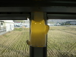 P1240061t.jpg