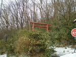 P2060230t.jpg