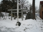 P2110004t.jpg