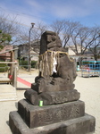 P2200015t.jpg