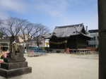 P2200024t.jpg