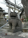 P2200064t.jpg