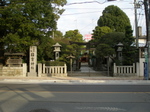 P2200123t.jpg