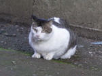 P2210035t.jpg