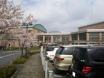 P4180151t.jpg