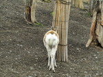 P5080066t.jpg