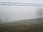 P5080161t.jpg