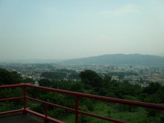 P8010252t.jpg